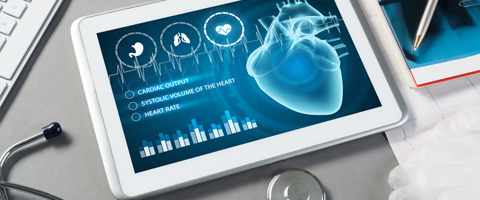 healthcare software development company