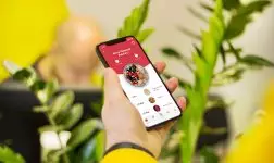 Animation - UI/UX Design